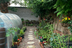 IMG-20250806-WA0051