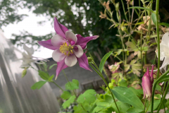 IMG-20250806-WA0055