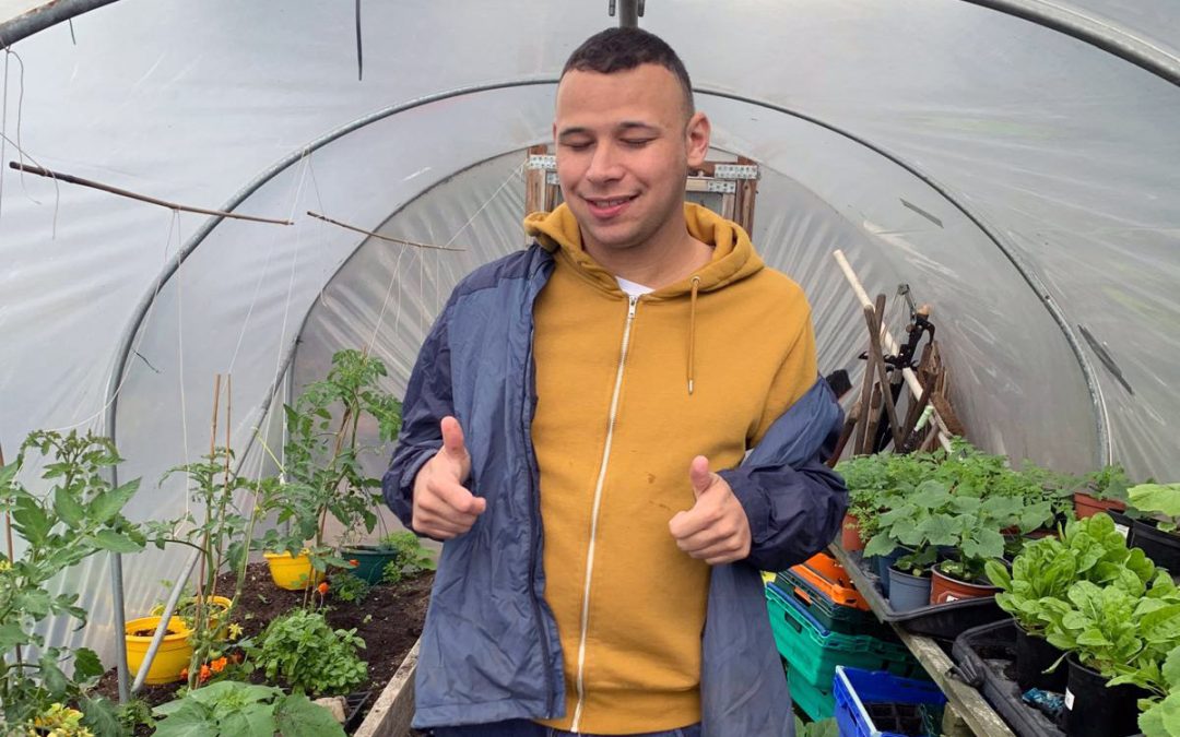 Students Transform Allotment into Thriving Community Space